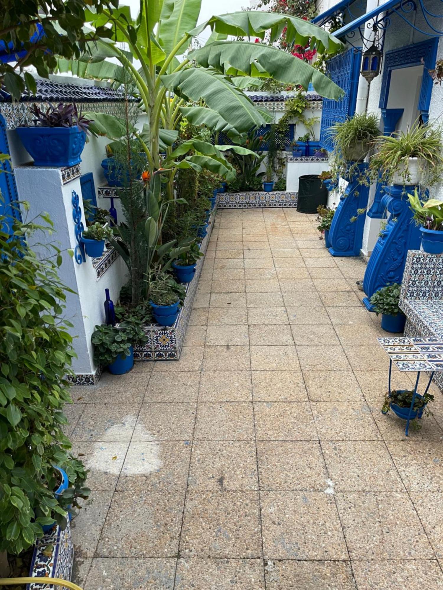 Vila The Blue And White Perle Sidi Bou Ali Exteriér fotografie