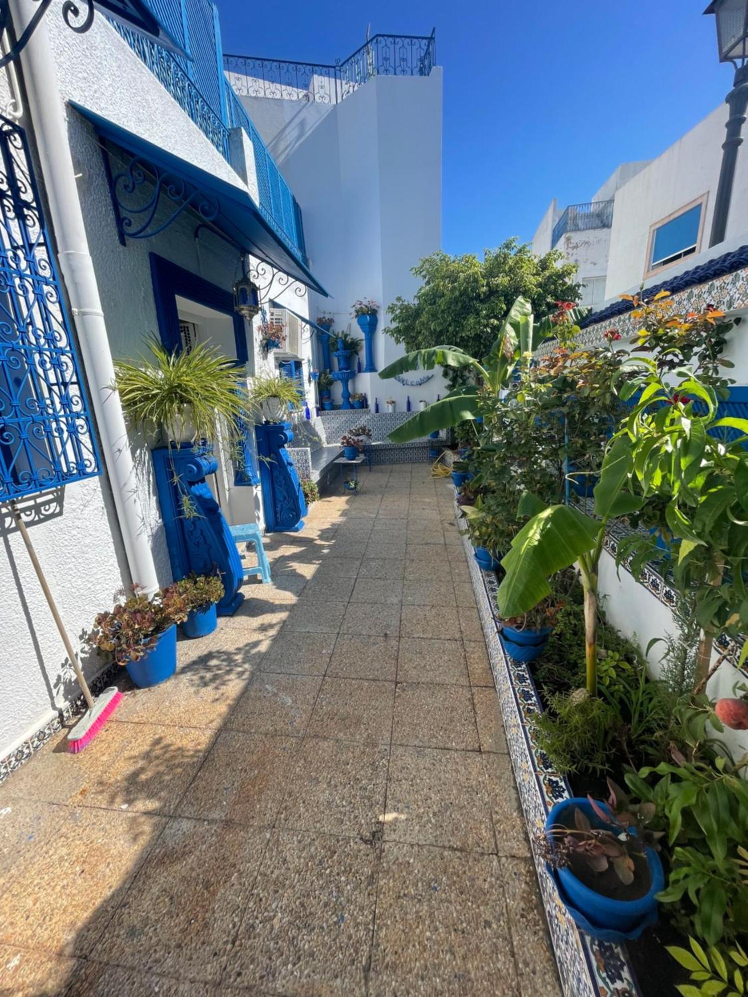 Vila The Blue And White Perle Sidi Bou Ali Exteriér fotografie