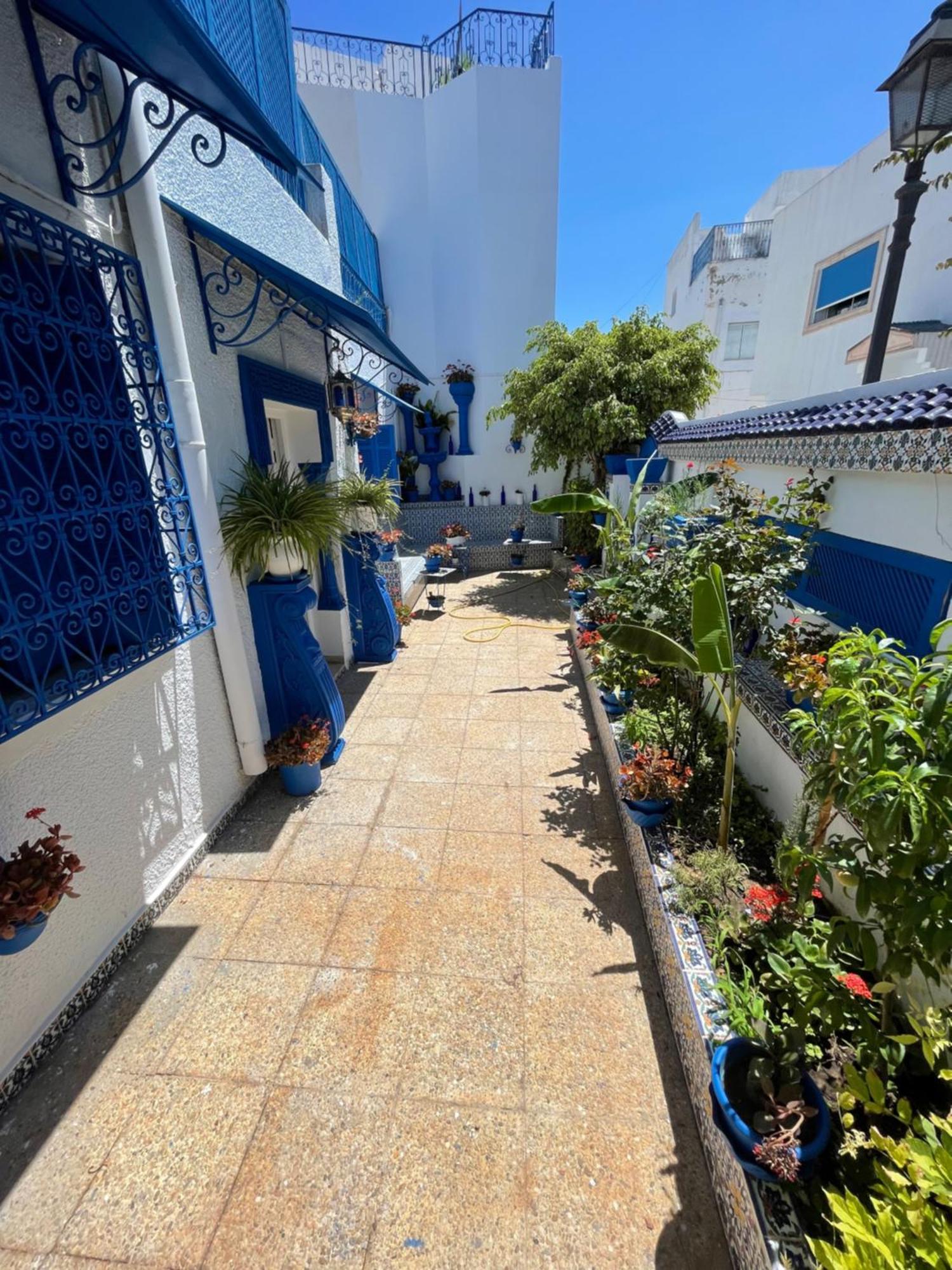 Vila The Blue And White Perle Sidi Bou Ali Exteriér fotografie