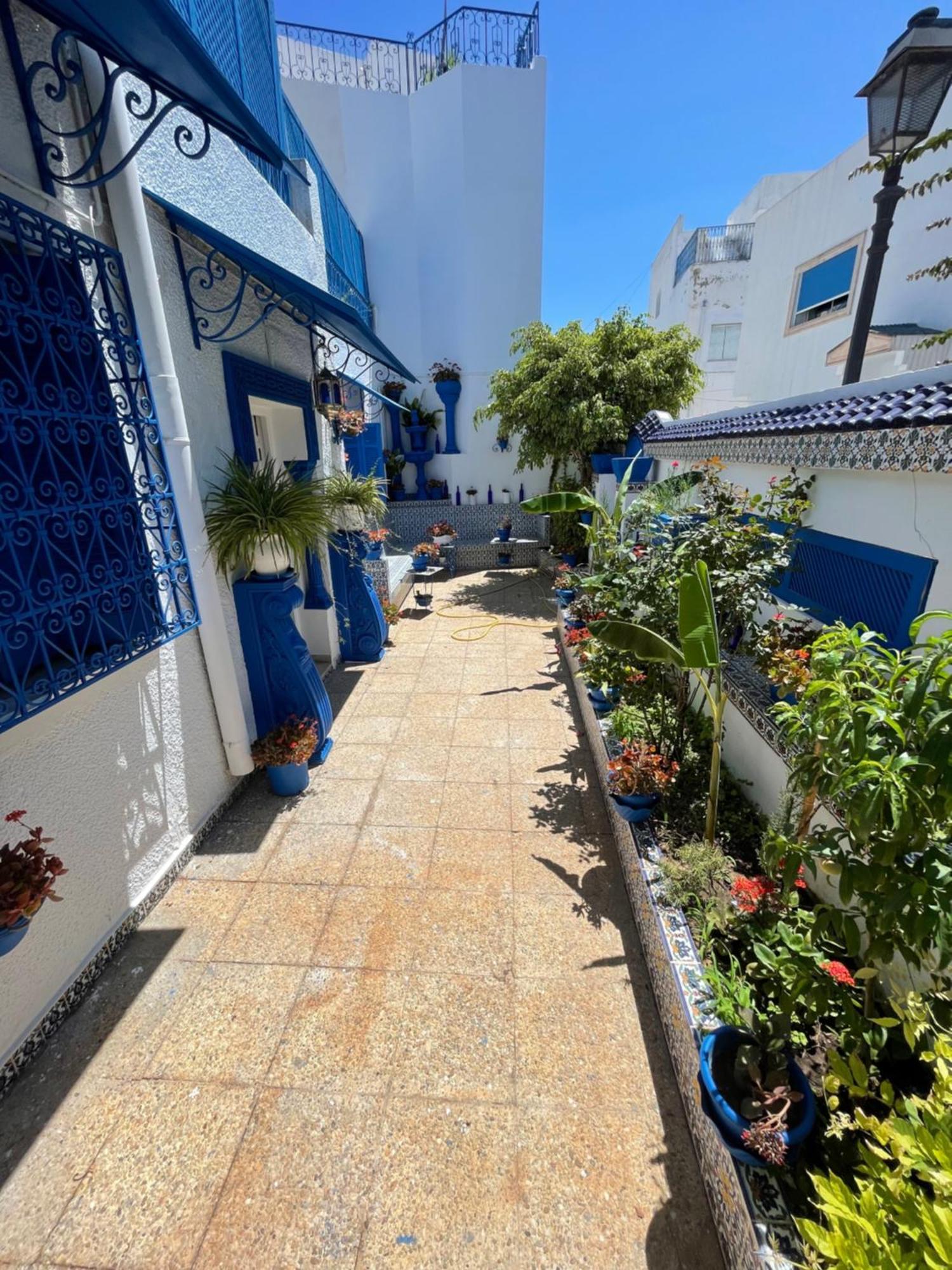 Vila The Blue And White Perle Sidi Bou Ali Exteriér fotografie